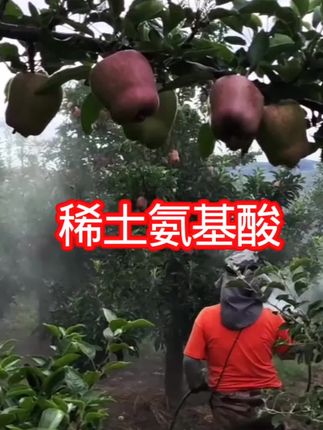 稀土氨基酸#果树种植 #果树管理