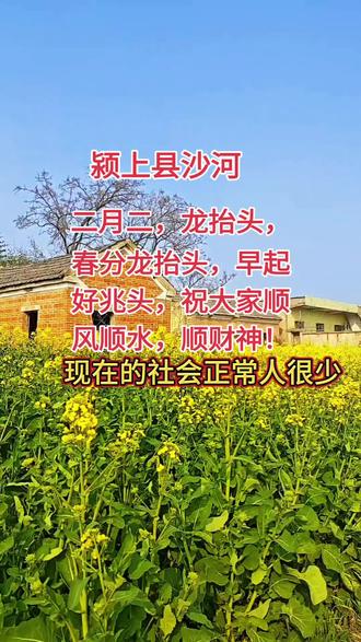 - 民谚:二月二,龙抬头,大家小户使耕牛——标志春耕正式开始,祈求风调雨顺、五谷丰登,龙是司雨、吉祥的神,这天“龙抬头”=龙醒、降雨、生机来。
- 习俗:剃龙头(理发,辞旧迎新、鸿运当头)、吃“龙食”(春饼=龙鳞、面条=龙须等)、祭土地神。