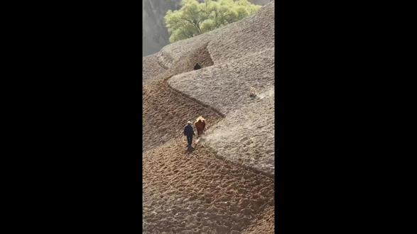 变形计最苦丫头拒绝被城市爸爸领养,不到20岁生完孩子去世⎜纪录片#留守儿童#黄土高原#农村#农村#农村孩子