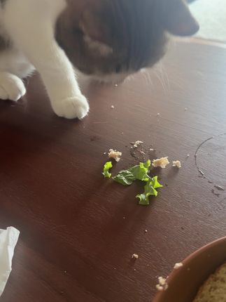 #电视进食#洗地机工作原理