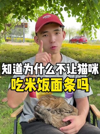 知道为啥不让猫咪吃米饭面条吗?#科学养宠攻略 #宠物知识 #萌宠好物