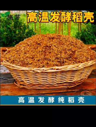 发酵腐熟稻壳月季绣球通用辅助营养土种菜透气稻壳炭有机质稻谷壳#发酵腐熟稻壳#月季绣球通用辅助营养土#种菜透气稻壳#炭有机质稻谷壳 #蔬菜种植技巧