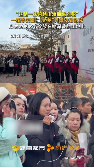 2月4日,新疆昭苏。“这是一株跨越山海而来的花”
一花牵云疆!“娇龙”月季安家昭苏
以贺娇龙之名绽放在她深爱的土地上。#贺娇龙 #娇龙