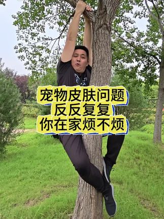 宠物皮肤问题口服小白片#宠物