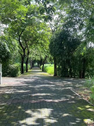 三德子家散养鸡,纯正土味,还原儿时本味!#超便宜超划算这散养土鸡,漫山遍野跑,吃的是五谷虫草,肉质紧实鲜嫩。红烧,肉质紧实有嚼劲;煲汤,汤鲜味美,营养丰富,怎么做都香!让你轻松享受农家美味,快来尝尝吧!#老母鸡#妈呀太香了 #好吃到停不下来 #强烈推荐@抖加🔥上热门🔥dou+🔥热点宝