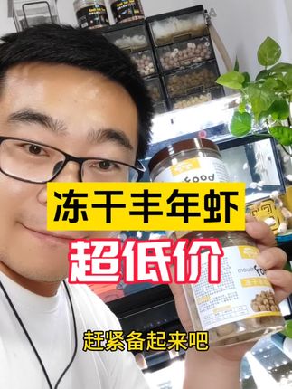 冻干丰年虾块—超便宜!!!#冻干丰年虾块 #丰年虾 #鱼食推荐
