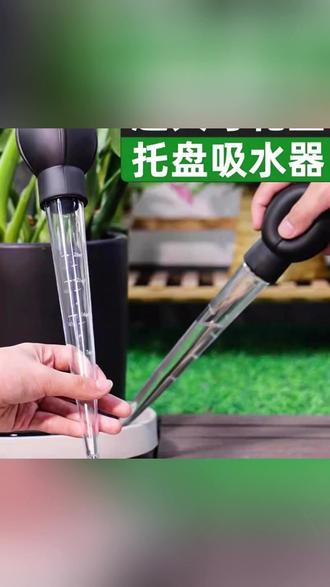 托盘吸水神器 养花托盘难免会积水。用这个吸水神器能够轻松的把水吸出来。省时又省力。 #花卉绿植 #园艺工具 #室内养花 #养花人