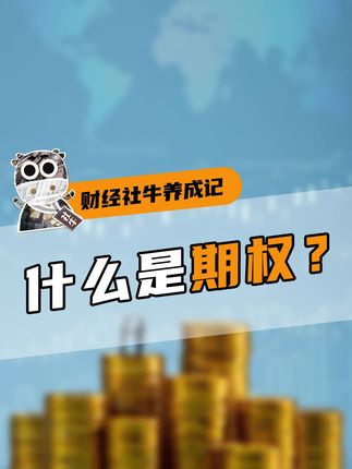 财经社牛养成记