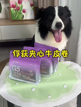 小狗3个月后就离不开磨牙棒啦,这个是我家狗子超级爱吃的夹心牛皮卷,#边牧 #萌宠好物 #磨牙棒 #宠物零食 #新手养狗