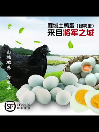 【50枚顺丰发货】正宗大别山绿壳跑山鸡蛋30枚/50枚山地散养#大别山绿壳鸡蛋#鸡蛋#跑山鸡蛋