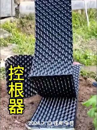 #植树控根器 #园艺生活 #花卉植物 #抖音助农扶农