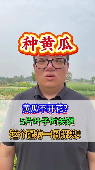 #黄瓜种植 #促花肥 #蔬菜卫士 #科学施肥 #农业技术 #黄瓜管理 #黄瓜高产