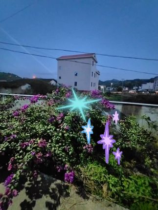 【拍一发三】山东德州五香扒鸡正宗手撕鸡脱骨真空即食500g* #好物分享🔥