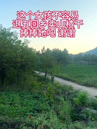 回乡创业没有背景靠山,想通过自己的努力推广家乡农产品,如果有幸被您刷到,能不能不要嘲笑我,我手中的山楂干酸甜爽口#山楂干 #优质农产品