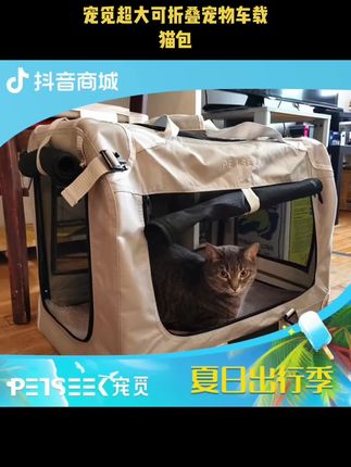 宠觅超大可折叠宠物车载猫包可收纳猫笼大容量狗包它博宠宠超能力#宠物背包#外出好物#好物推荐#萌宠出道计划