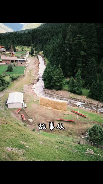 通识课作业,剪都剪了#手工皮艺 #纪念品