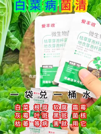 爱丰收白菜专用微生物菌剂白菜微生物肥料保花保果复绿微生物肥料#白菜 #白菜种植 #白菜管理 #农业种植 #抖音助农