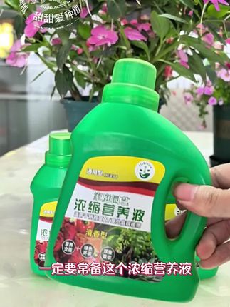 #通用浓缩营养液 富含植物生长所需的氮磷钾以及各种中微量元素,营养全面价格实惠#花卉养护神器#养花必备#养花通用营养液