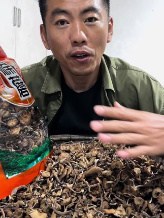 东北头茬草榛蘑,快把它带回家小鸡炖蘑菇吧#头茬草榛蘑#榛蘑