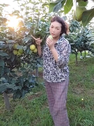 #优质农产品 ,新鲜采摘鲜果发货,产地直发价。