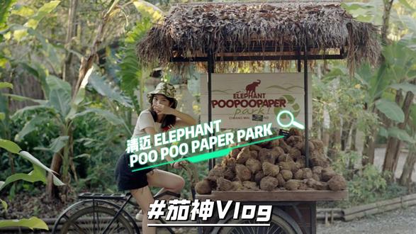 清迈旅游Vlog:大象便便造纸厂 什么?你说大象的便便还能造纸?而且还是亲自下手尝试~今天我们这期Vlog稍微可能有一丢丢的“味道”,但是确实是第一次知道还能这么干~#清迈 #泰国 #泰国旅游 #大象 #大象粪便