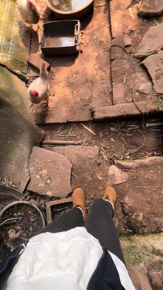 别叫我打麻将了,我回村喂鸡了