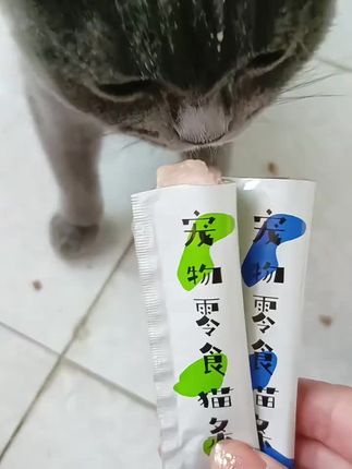 50只猫条只要9.9,3种口味可选#猫条#喵柒柒猫条 #新手养猫#超便宜超划算