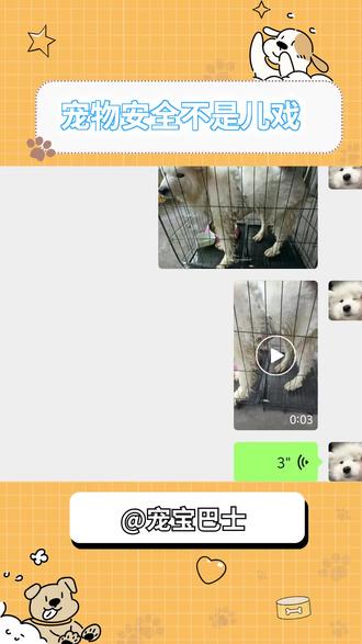 宠物出行安全稍有不慎,便是和亲密的爱宠永远的告别,宠物出行和人一样重要!选择宠宝巴士为您的爱宠保驾护航#宠宝巴士#宠物出行#宠物托运#宠物爱心服务#爱心