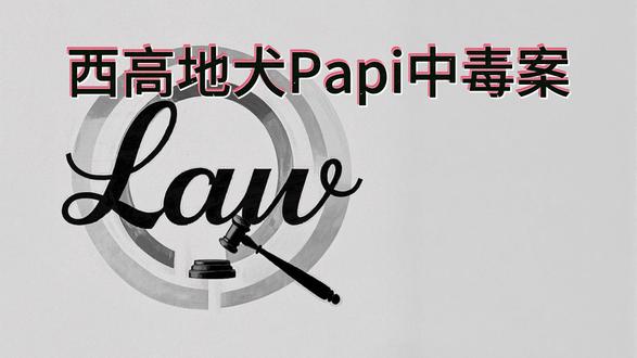 西高地Papi中毒案,投毒?or毁坏财物? 西高地Papi案一审宣判,一审判决有期徒刑四年,格律法记为您讲述。#西高地papi #西高地papi审判结果 #动物保护法立法 #危害公共安全 #律师