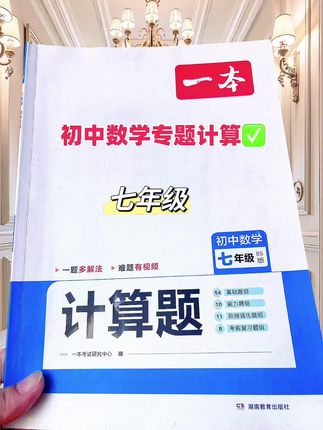初中数学专题训练#一本#数学,