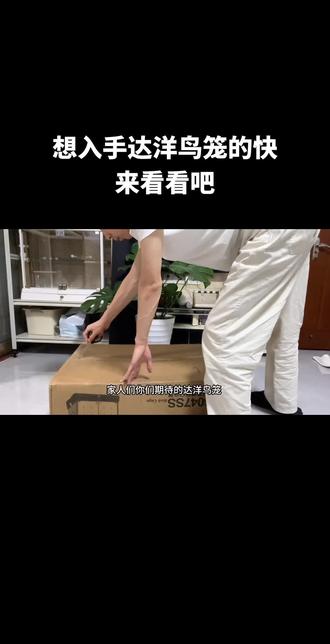 超详细的达洋鸟笼安装视频,需要的家人们收藏关注呀
#达洋鸟笼 #达洋鸟笼安装视频 #鹦鹉 #金太阳 #小太阳
