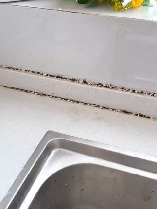 除霉啫喱去霉斑霉菌瓷砖家用滚筒洗衣机冰箱胶圈清洁剂去霉神器 #除霉啫喱膏 #胶圈除霉剂 #冰箱胶圈清洗