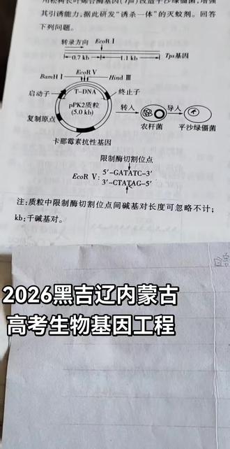 黑吉辽内蒙古高考生物基因工程 #生物#基因工程