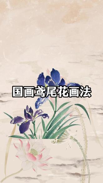 国画鸢尾花画法 #国画 #写意花鸟 #国画鸢尾