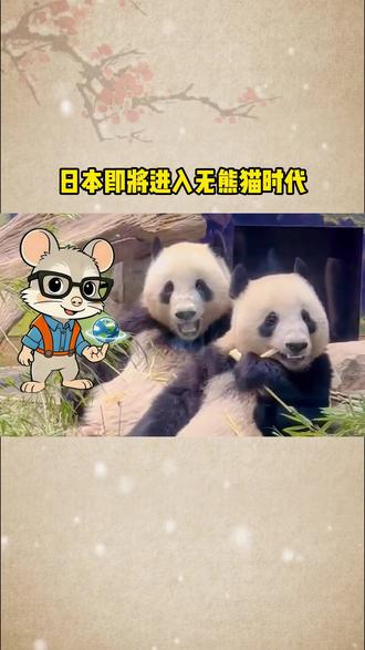 日本即将进入无熊猫时代,从租借形式看大熊猫的功臣作用 #旅日大熊猫 #大熊猫 #熊猫外交