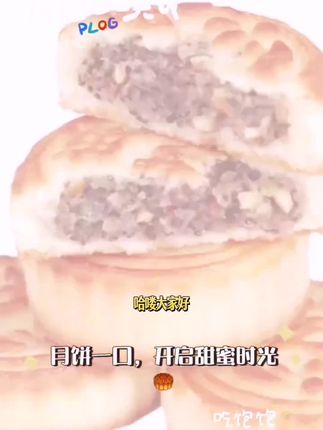 东北老式月饼支持试吃一块拍1发12 #美食 #月饼 #地方特色美食 #礼物