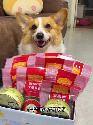现在零食都卷成这样了,赶紧给小狗囤#宠物出道计划 #萌犬出道计划 #宠物零食