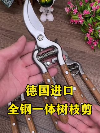 德国进口高品质全钢一体强力省力树枝剪,加粗加厚的一款园林果树修枝剪,园林园艺专用树枝剪#树枝剪 #树枝修剪 #修枝剪#园林工具 #果树修剪