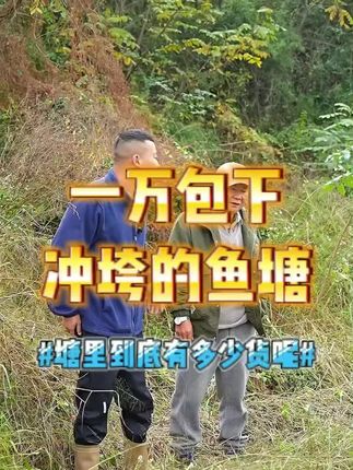 #小飞哥#包塘#龟肉#我的乡村#乡村守护人
