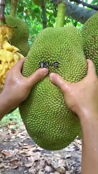 恶人自有恶人治#报应是迟早的事 #小说