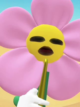视频同款