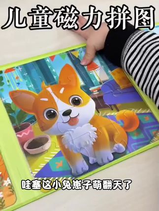 儿童进阶益智磁性拼图0-3-6岁幼儿磁力早教宝宝男孩女孩少儿玩具#萌犬出道计划 #萌宠动物 #视频生成 #济南漫展接妆