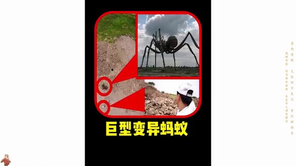 #电影解说#游戏精彩时刻#steam游戏