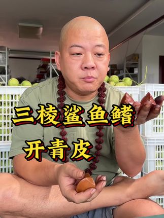 #文玩人的生活 #文玩 #文玩爱好者 #文玩核桃知识科普 #盘它