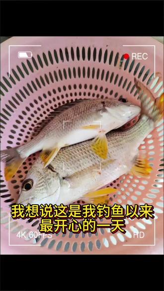 #原来钓鱼才是抖音运动顶流 我的第一次海钓