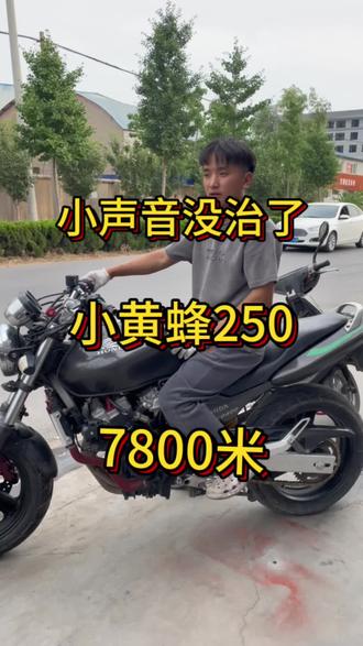 小黄蜂250,四缸250拍了,小声浪没治了#关注我圆你机车梦 #机车#本田小黄蜂250