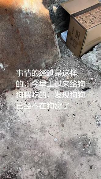 这是一条关于流浪狗后续的视频,今天早上满怀期待给流浪狗喂饭,结果去了以后发现狗狗已经离开了,没有道别也没有见最后一面。或许对狗狗而言,四海才是它的家。遗憾也终将贯穿生命始终~希望如我爸而言,狗狗已经被好心人抱走收留了,明天再去找一下看看,如果还找不到就只能希望它能有一个好的结果。#流浪狗#流浪狗救助