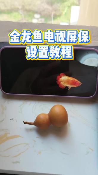 电视养鱼教程#电子养鱼 #养鱼 #电视养鱼教程 #电视屏保 #金龙鱼屏保 龙鱼 金龙鱼 金龙鱼电视屏保教程 电视养鱼
电视养鱼屏保
电视养鱼教程
电视养鱼屏保怎么设置教程
电视养鱼壁纸
小米电视屏保鱼缸
电视养鱼投屏
电视鱼缸动态屏保电视养鱼壁纸怎么下载电视养鱼屏保免费下载