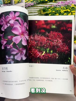 这本书真的没有白买,让孩子放下手机爱上阅读的“秘密武器”好看又有趣,高清大图实拍,带孩子狠狠长知识,涨见识 #自然百科 #科普 #动物世界 #涨知识