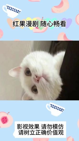 真的很好看#红果漫剧